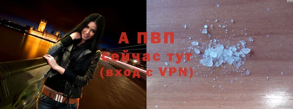 стафф Абинск