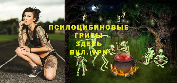 стафф Абинск