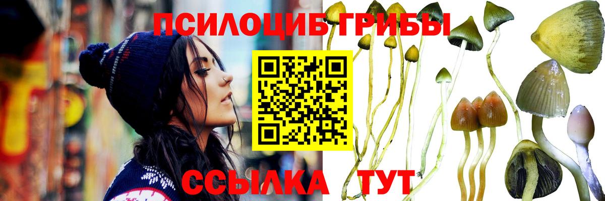 Псилоцибиновые грибы прущие грибы  Вход с VPN  Иркутск  Псилоцибиновые грибы прущие грибы 